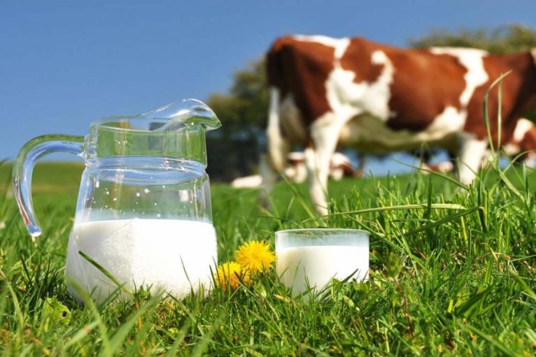 Preço do leite terá aumento de 15 centavos