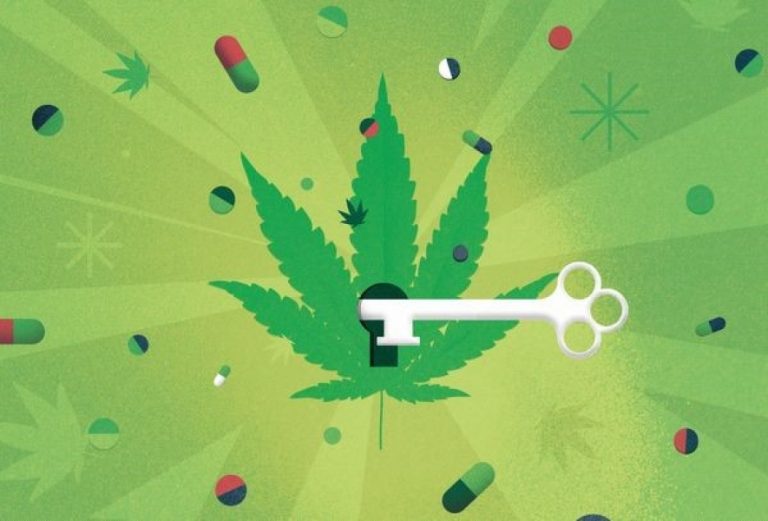 Cannabis medicinal: uma velha alternativa para uma nova esperança