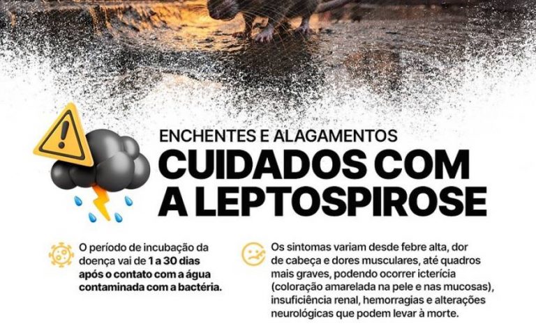 Saúde alerta para casos de leptospirose e acidentes com cobras nas áreas pós enchentes