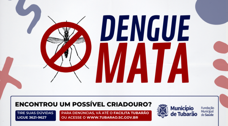 Focos do mosquito Transmissor da Dengue seguem estáveis, porém outros números crescem