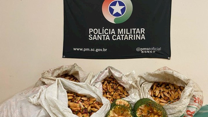 Polícia Militar Ambiental apreende 55 quilos de pinhão em São José do Cerrito