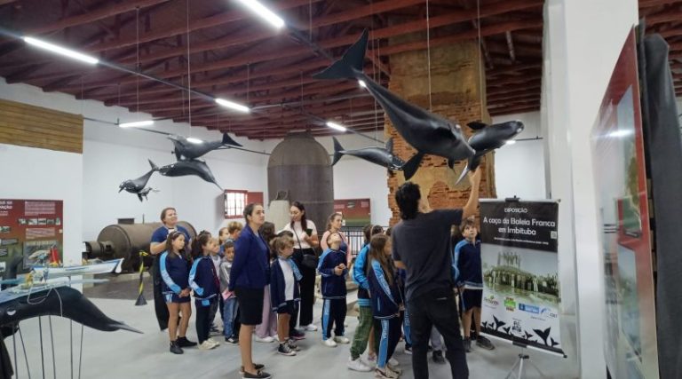 Semana Cultural no Museu da Baleia de Imbituba: Celebre a cultura e a arte!