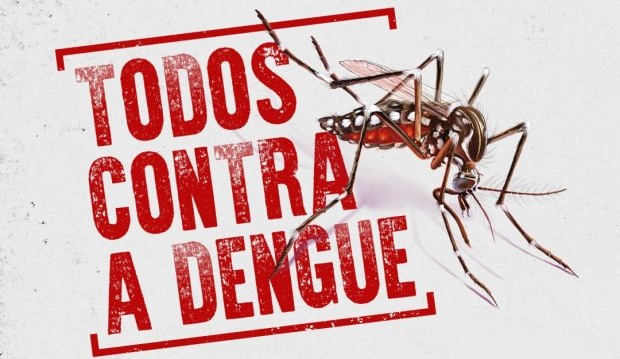 Dengue em SC: cuidados da população são essenciais para combater a doença