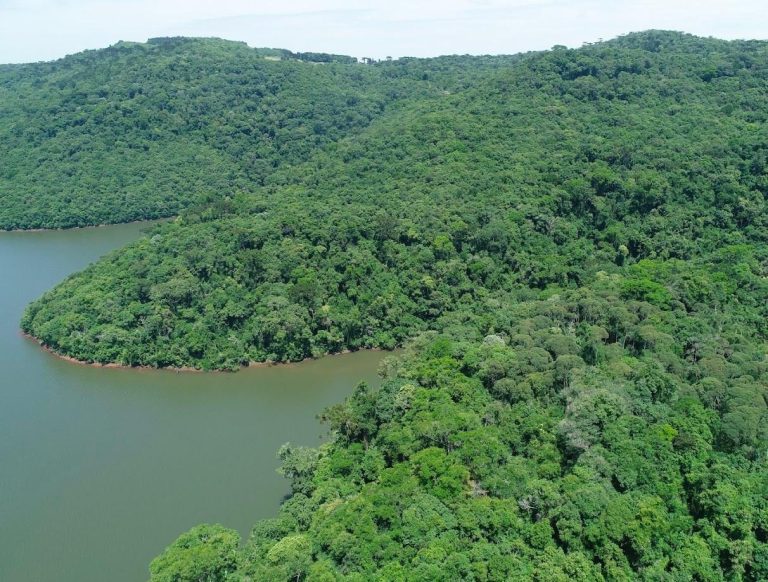 Santa Catarina reduz desmatamento da Mata Atlântica em 86%