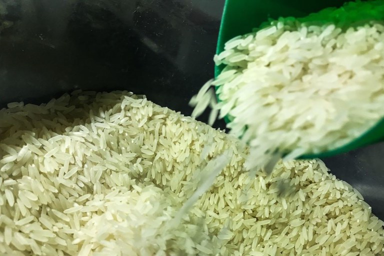 Comissão da Alesc pede suspensão da importação de arroz